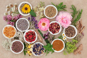 Image showing Healing Flowers and Herbs