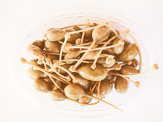 Image showing Retro looking Caper berries