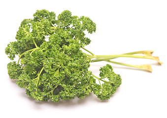 Image showing green fresh parsley