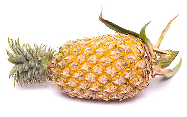 Image showing pineapple