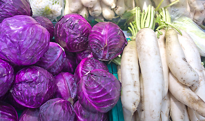 Image showing red cabbages and dajkons