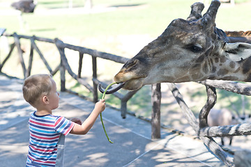 Image showing in the Zoo