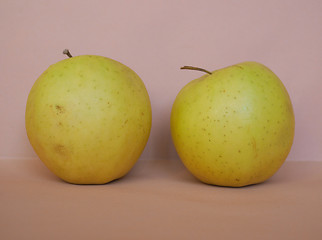 Image showing Yellow apple fruits