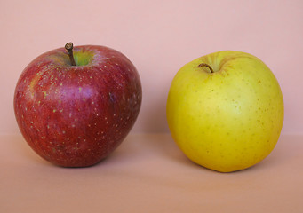 Image showing Red and yellow apple fruit