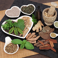 Image showing Alternative Medicine for Men