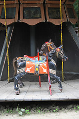 Image showing old horses