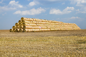 Image showing haystacks straw. field  