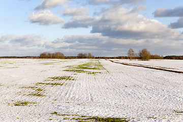 Image showing snow covered field 