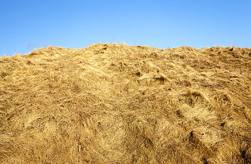 Image showing part of the haystack  