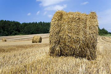 Image showing haystacks straw  . summer