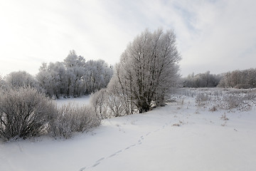 Image showing Winter Park ,  snow.