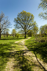 Image showing Dirt road ,  spring  