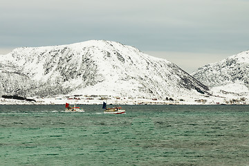 Image showing back with todays catch