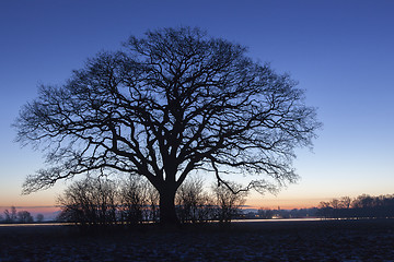 Image showing Early Morning