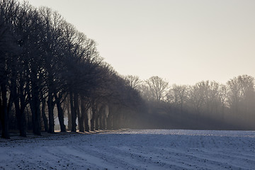 Image showing Early Morning