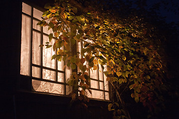 Image showing night light window