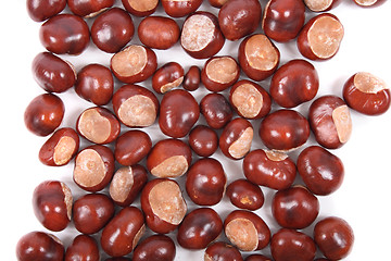 Image showing chestnuts