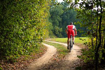 Image showing Rider on Mountain Bicycle it the forest