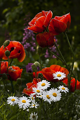 Image showing summer flowers