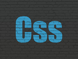 Image showing Software concept: Css on wall background