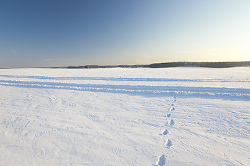 Image showing snow covered field  