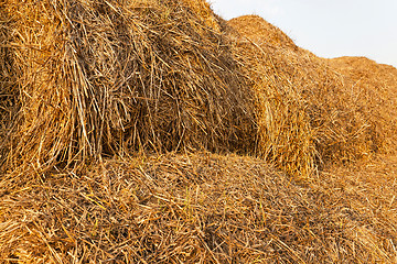 Image showing bales of straw  