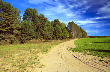 Image showing autumn trees ,  Belarus