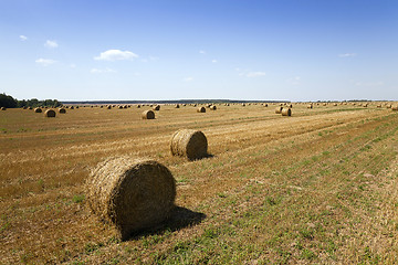 Image showing bales of hay 