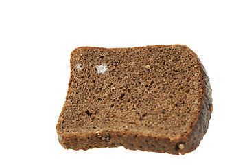 Image showing bread mold. close-up  