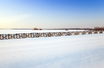 Image showing snow covered field 