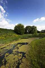 Image showing trees in spring 