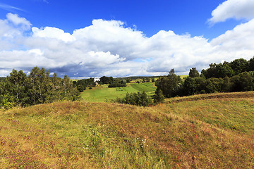 Image showing green vegetation ,  plants  