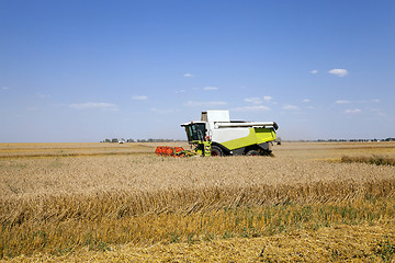 Image showing Harvester in the field  