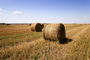 Image showing bales of hay  