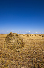 Image showing haystacks straw  . closeup