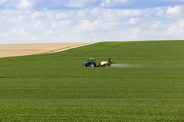 Image showing Processing of cereal  