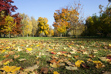 Image showing autumn season,  foliage
