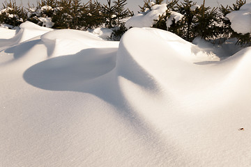 Image showing snow covered field  