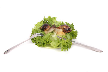 Image showing snails as dinner