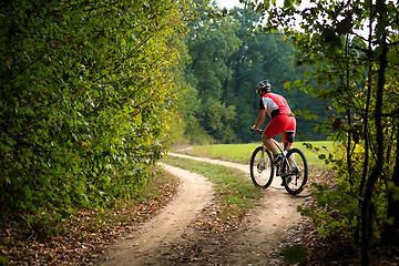 Image showing Rider on Mountain Bicycle it the forest