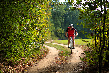 Image showing Rider on Mountain Bicycle it the forest