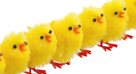 Image showing Abundance of easter chicks, selective focus