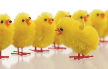 Image showing Abundance of easter chicks, selective focus