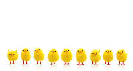 Image showing Abundance of easter chicks on a row