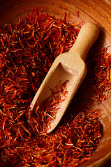 Image showing Spanish Saffron spice