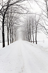Image showing winter road ,  snow
