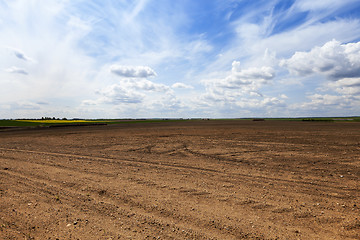 Image showing plowed land. close-up  