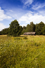 Image showing abandoned house ,  Belarus.