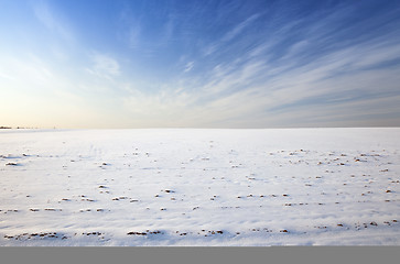 Image showing the field covered with snow  