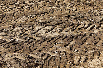 Image showing lying on the ground grain  